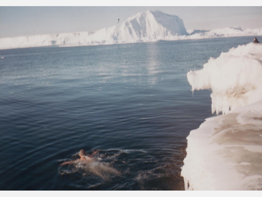 Антарктида - Мирный. Фото №3