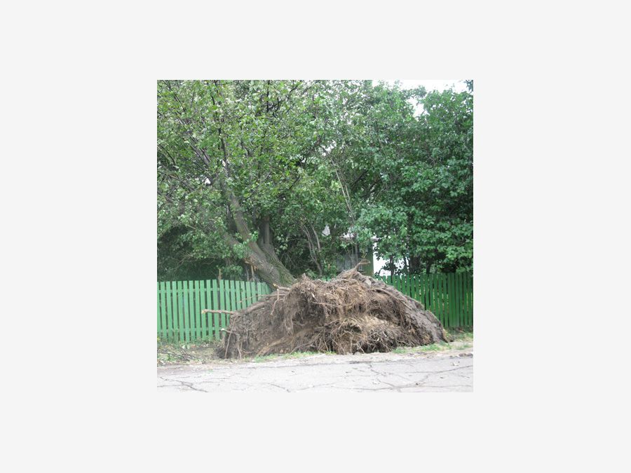 Беларусь - Минский район. Фото №8