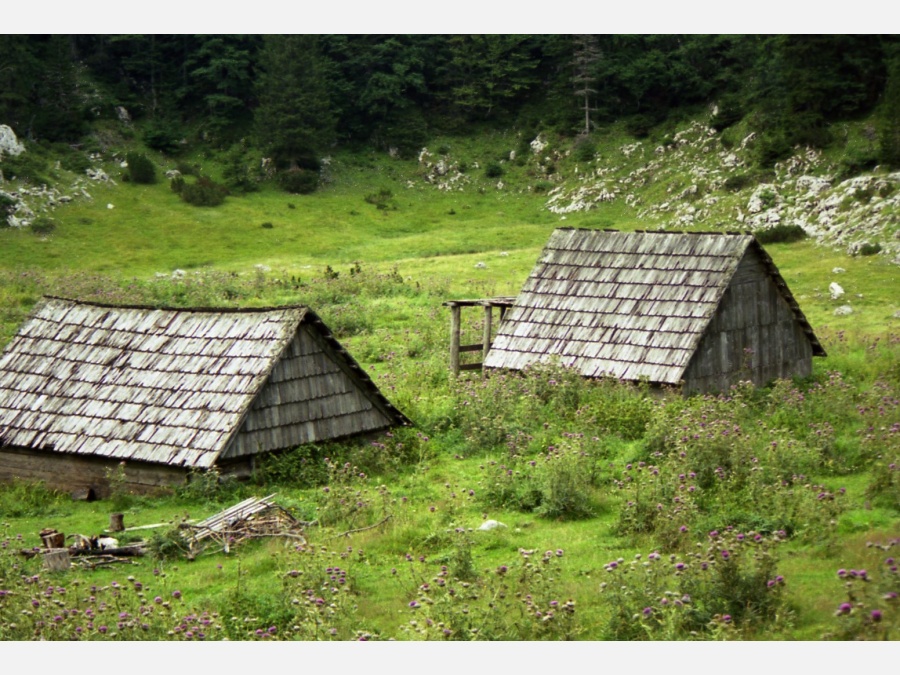 Черногория - Национальный парк Дурмитор. Фото №15