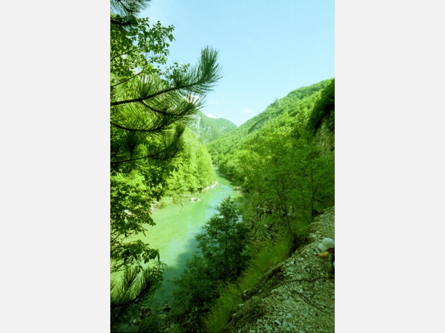 Черногория - Национальный парк Дурмитор. Фото №18