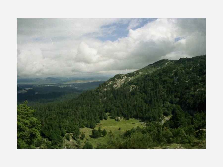 Черногория - Национальный парк Дурмитор. Фото №25