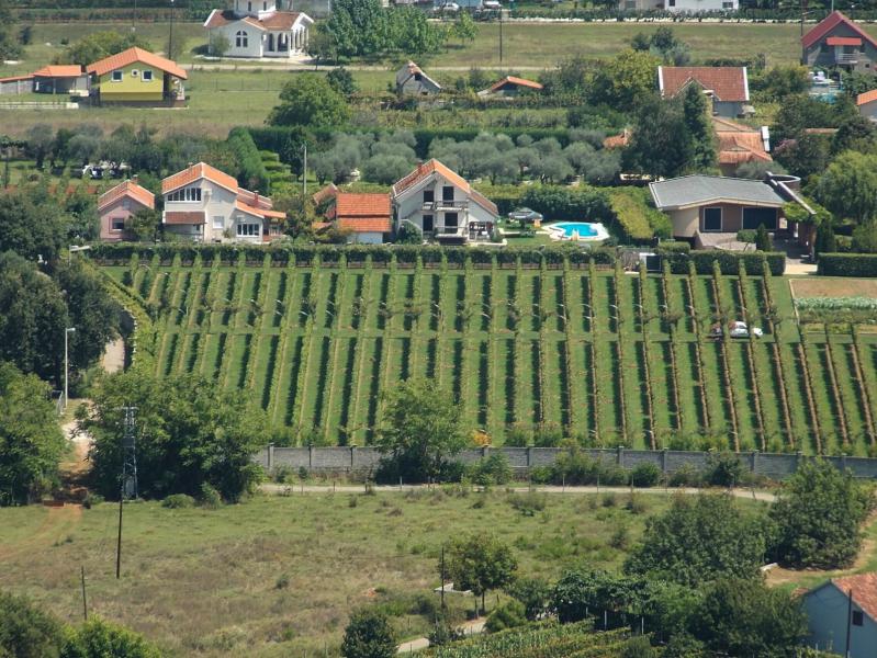 Черногория - Подгорица. Фото №3