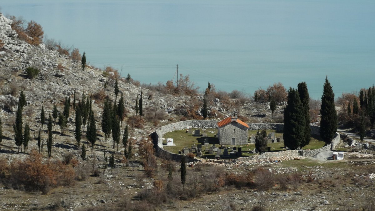 Черногория - Скадарское озеро. Фото №7