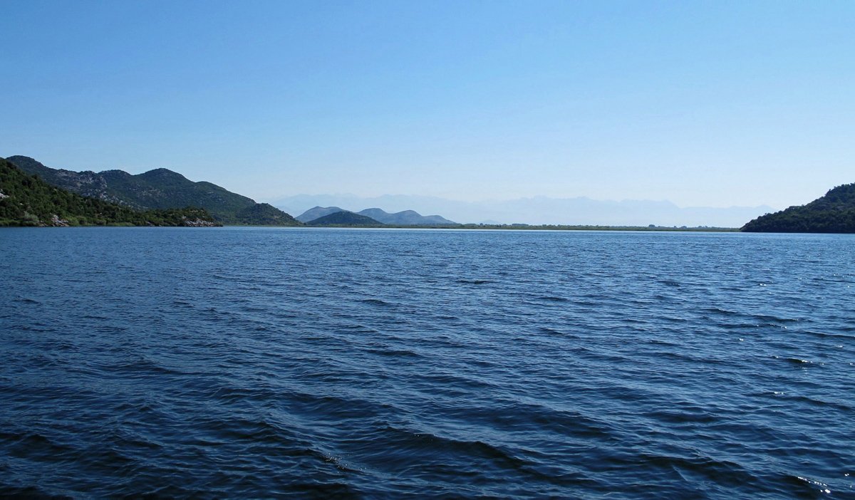 Черногория - Скадарское озеро. Фото №2
