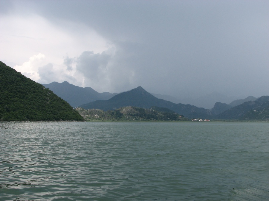 Черногория - Скадарское озеро. Фото №7