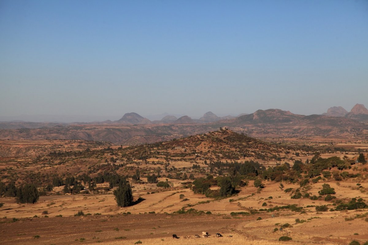 Эфиопия - Аксум. Фото №21