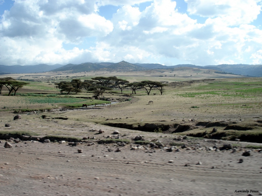 Эфиопия - Долина реки Омо и др.. Фото №1