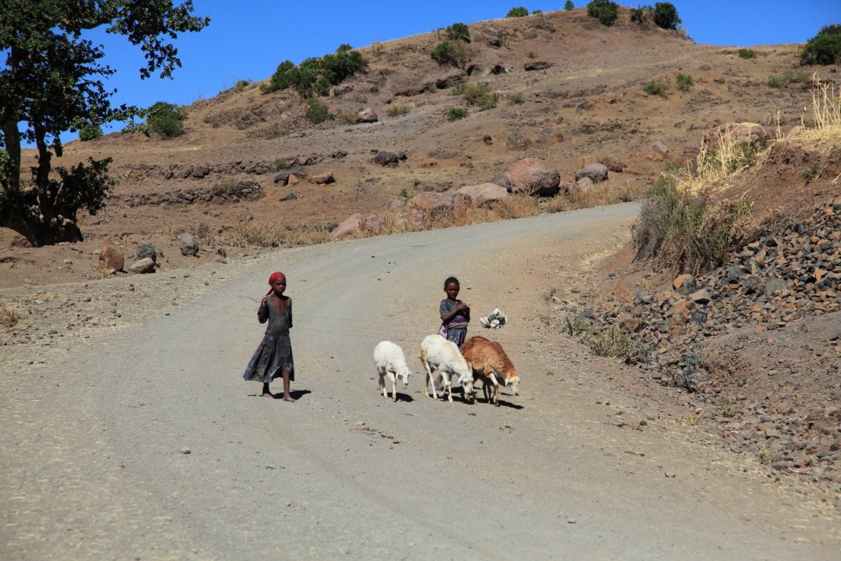 Эфиопия - Лалибела. Фото №28