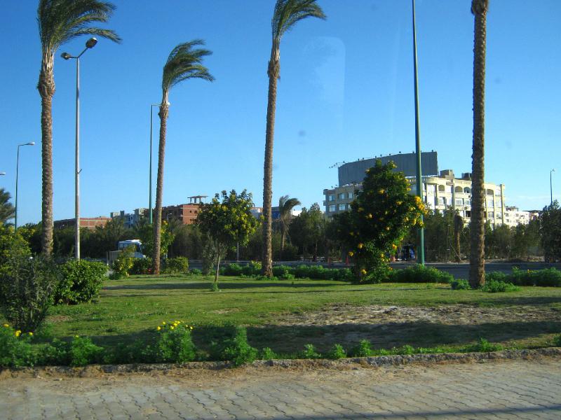 Египет - Хургада. Фото №6