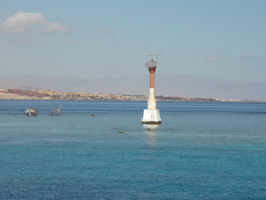 Египет - Красное море. Фото №8