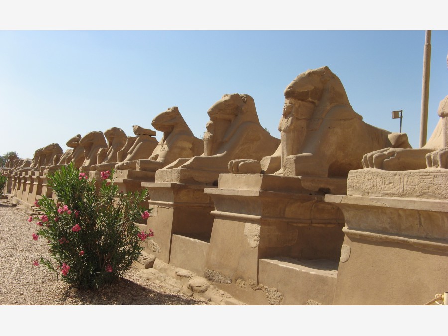 Египет - Луксор. Фото №42