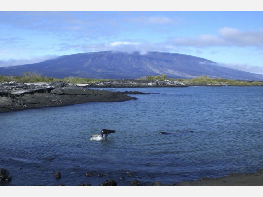 Эквадор - Галапагосские острова. Фото №3