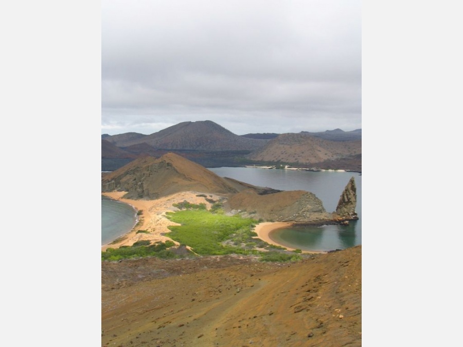 Эквадор - Галапагосские острова. Фото №4