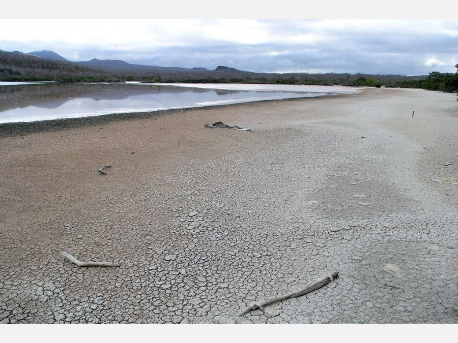 Эквадор - Галапагосские острова. Фото №5