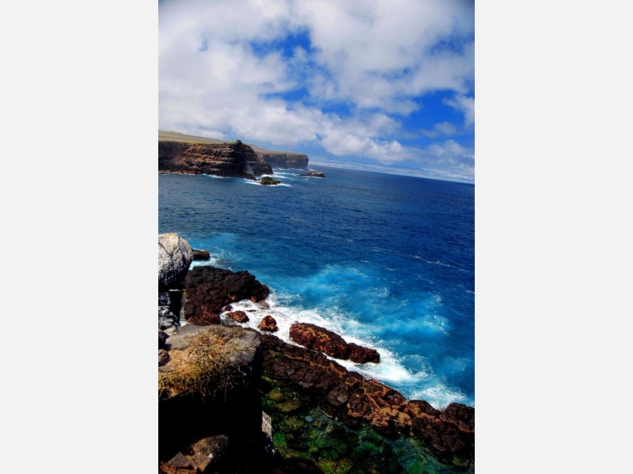 Эквадор - Галапагосские острова. Фото №8