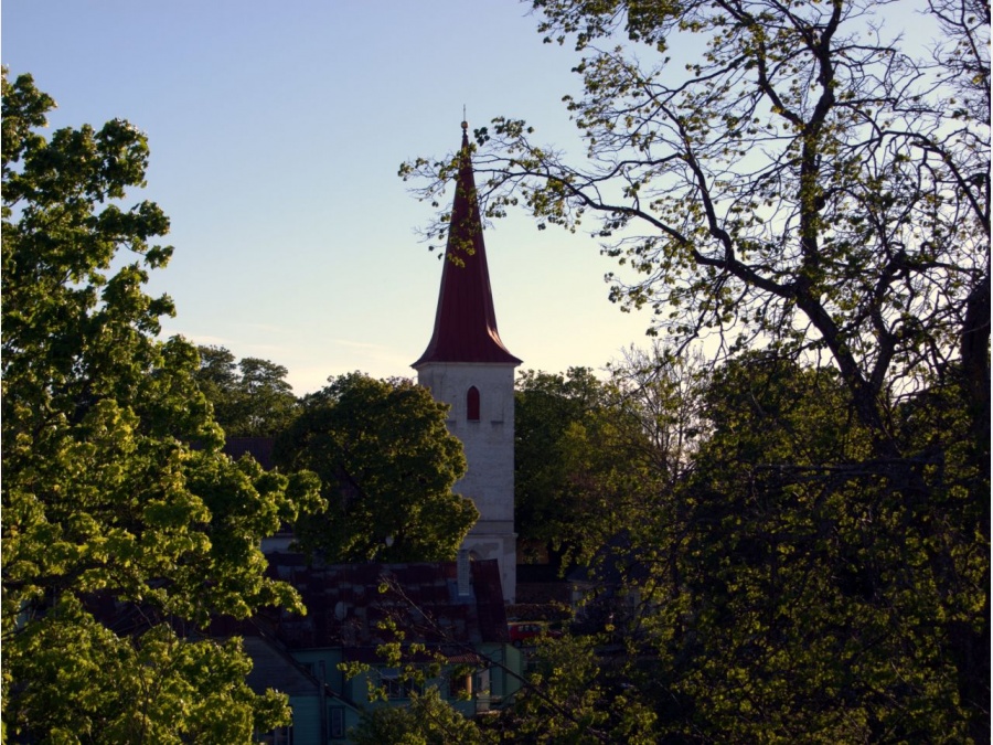 Эстония - Хаапсалу. Фото №11