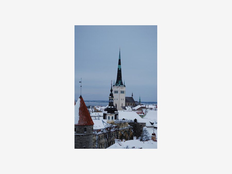 Эстония - Таллин. Фото №16