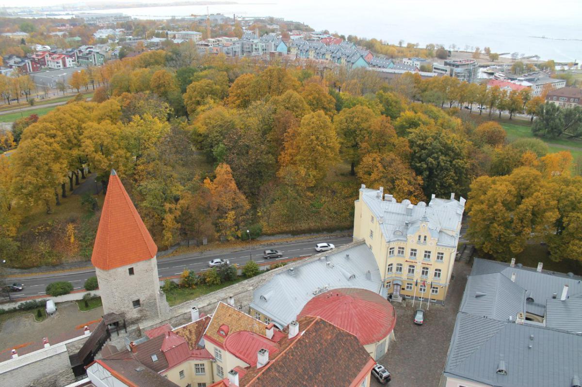 Эстония - Таллин. Фото №7