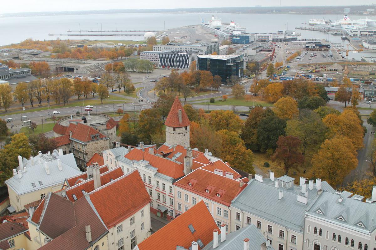 Эстония - Таллин. Фото №8