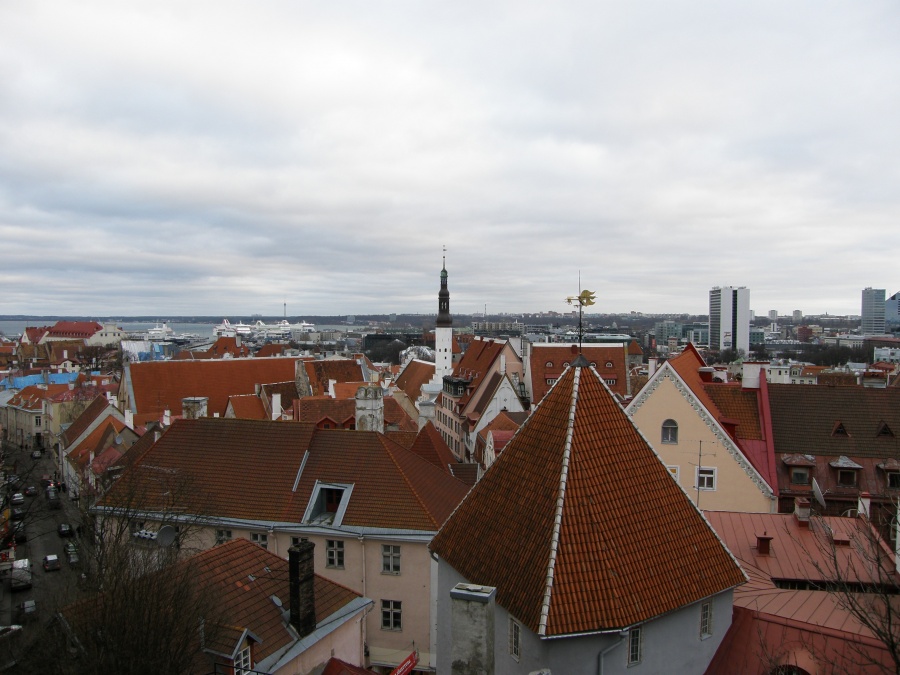 Эстония - Таллин. Фото №9