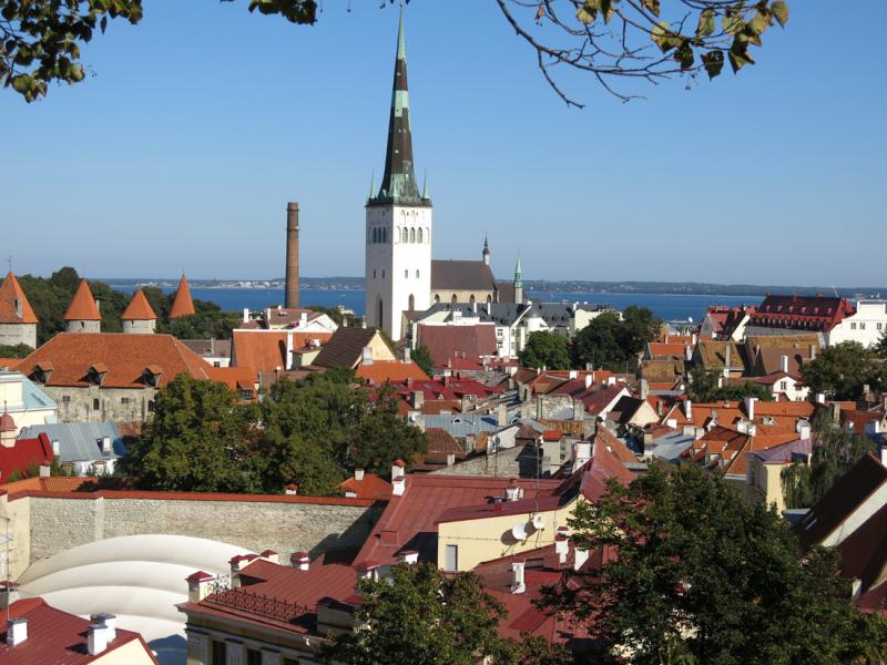 Эстония - Таллинн. Фото №10