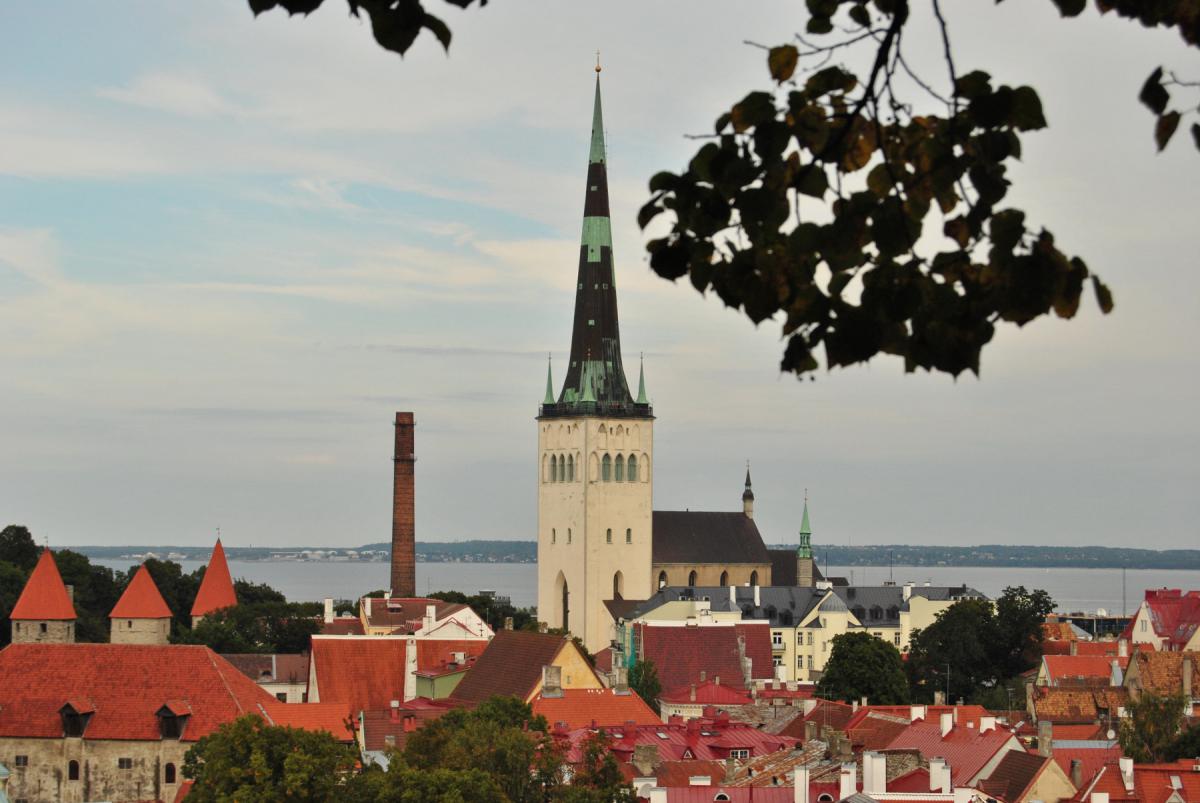 Эстония - Таллинн. Фото №24