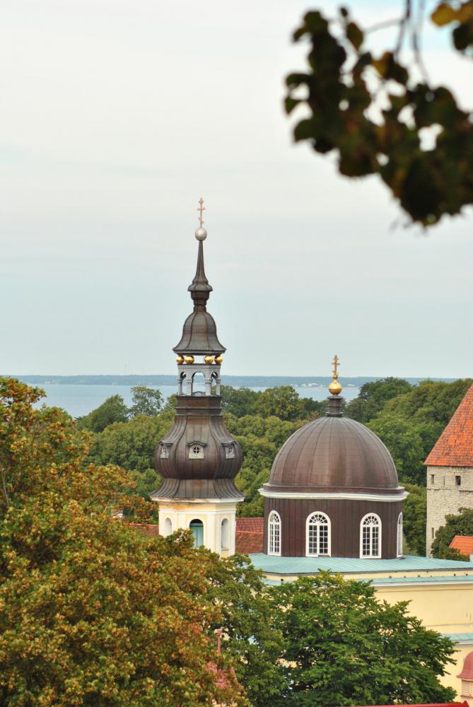 Эстония - Таллинн. Фото №27
