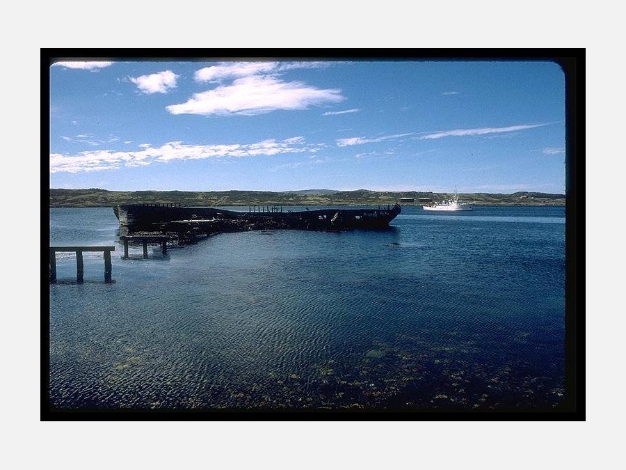 Фолклендские острова - Порт Стенли. Фото №11