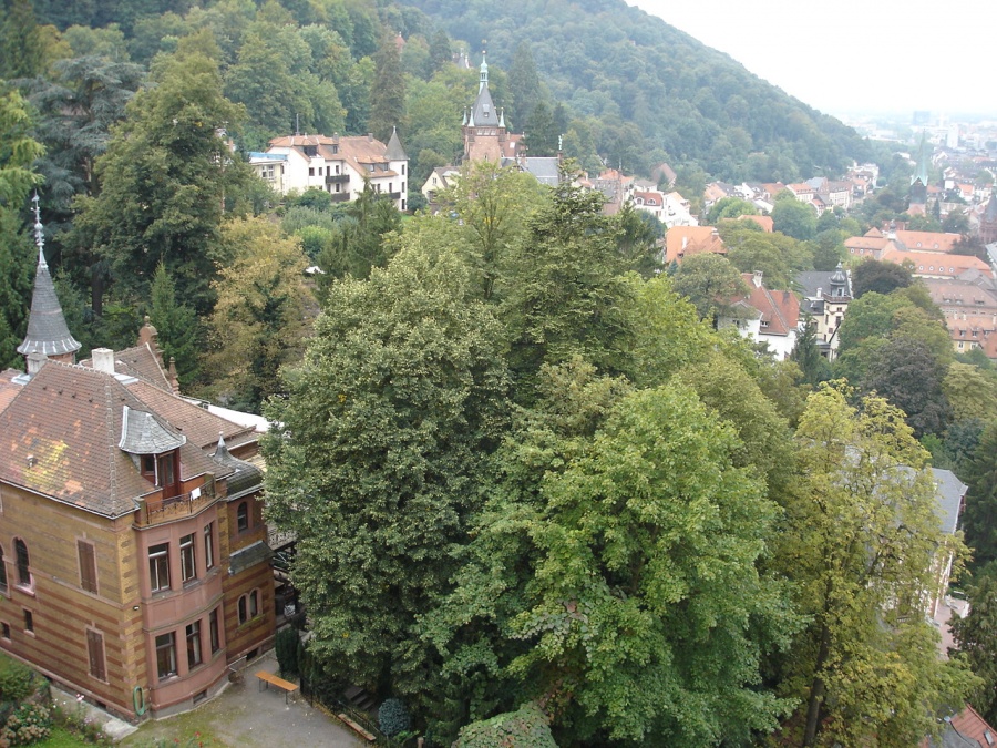 Германия - Хайдельберг (Heidelberg). Фото №52