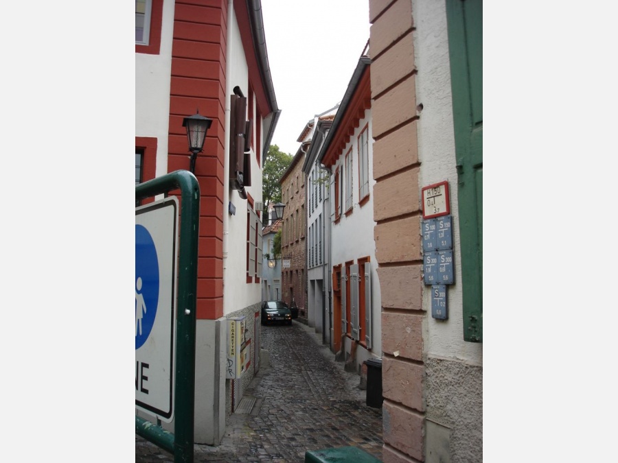 Хайдельберг (Heidelberg) - Фото №8