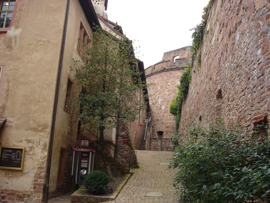 Хайдельберг (Heidelberg) - Фото №42