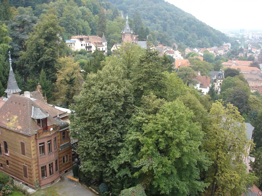 Хайдельберг (Heidelberg) - Фото №52