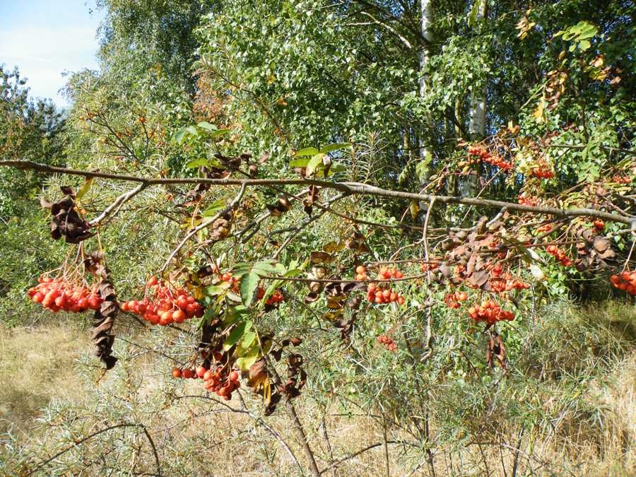 Германия - Любек. Фото №18