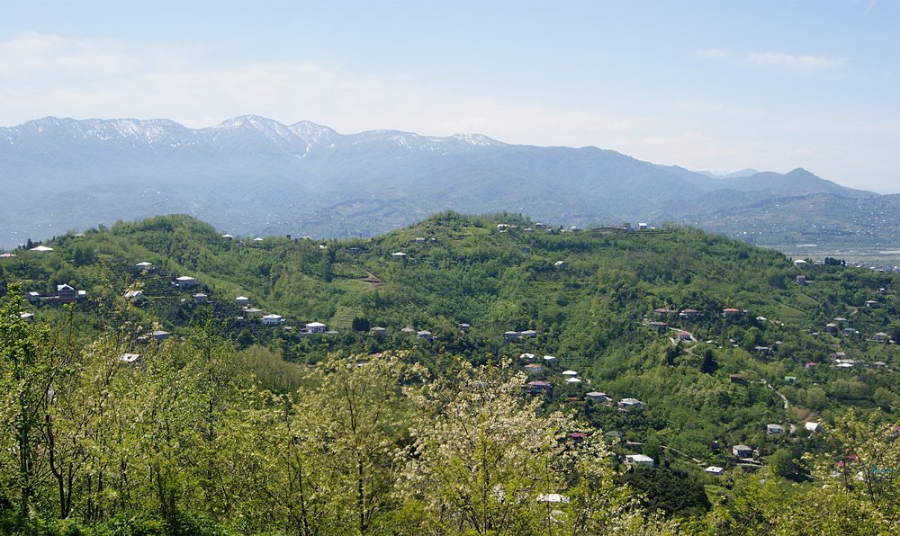 Грузия - Батуми. Фото №5