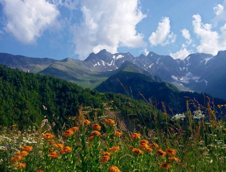 Альпийские Луга Грузия