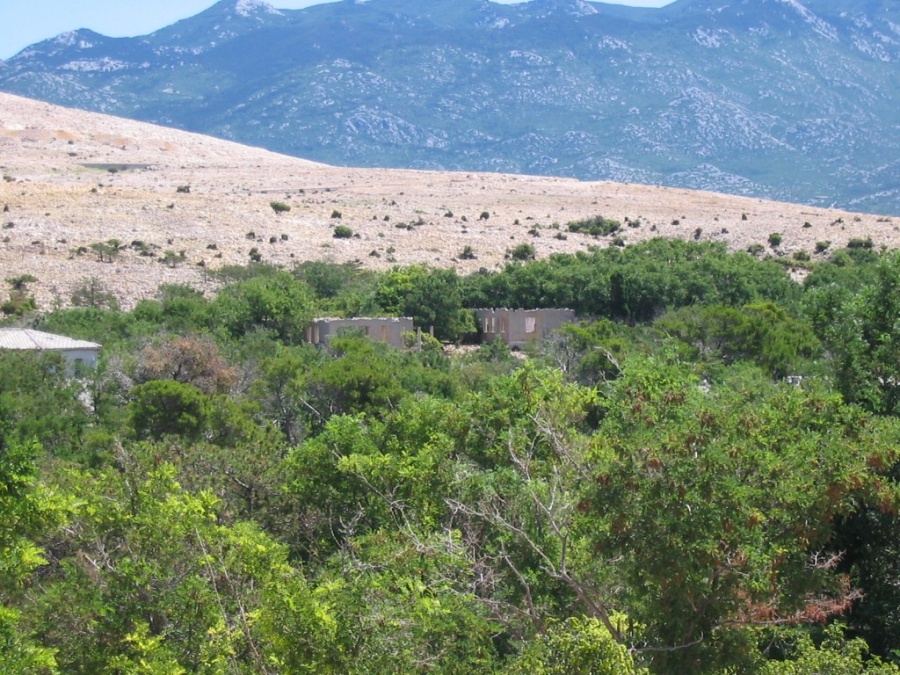 Хорватия - Адриатика, Остров GOLI OTOK, (тюрьма). Фото №20