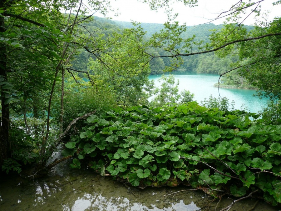Хорватия - Национальный парк. Фото №9