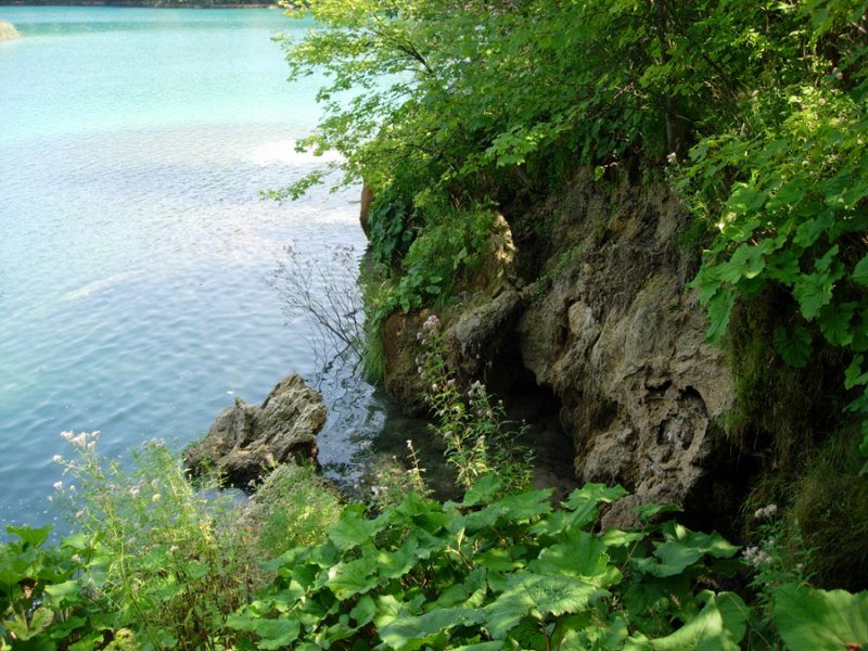 Плитвицкие озера - Фото №20