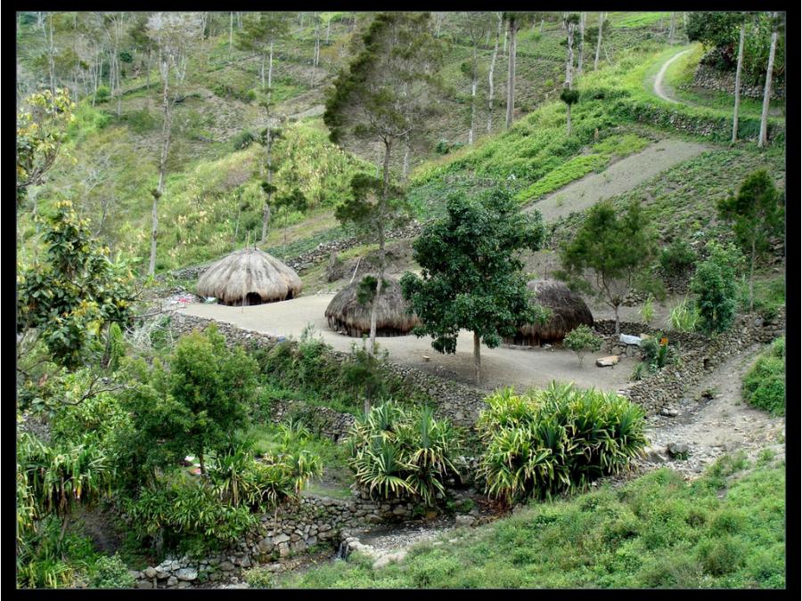 Индонезия - Остров Новая Гвинея. Фото №2