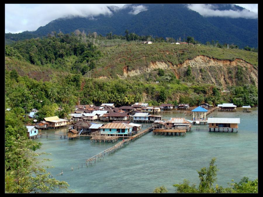 Индонезия - Папуа. Фото №15