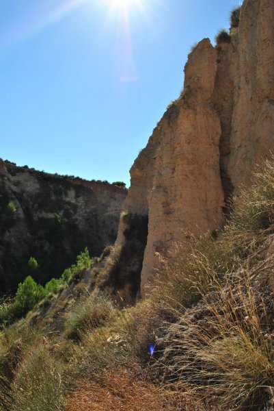 Rambla del Molins, Petrer - Фото №12
