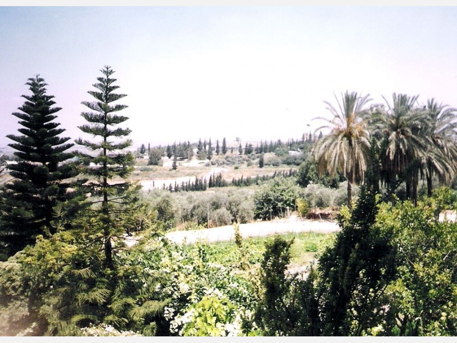 Израиль - Латрун. Фото №3