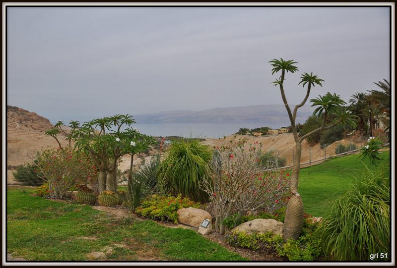 Израиль - Мертвое море. Фото №13