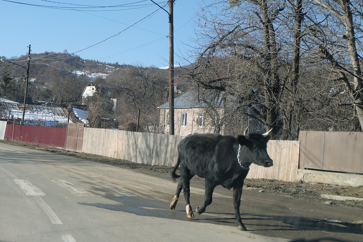 Южная Осетия - Южная Осетия. Фото №14