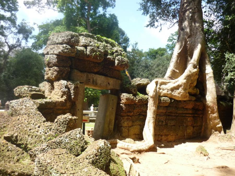 Камбоджа - Ангкор. Фото №2