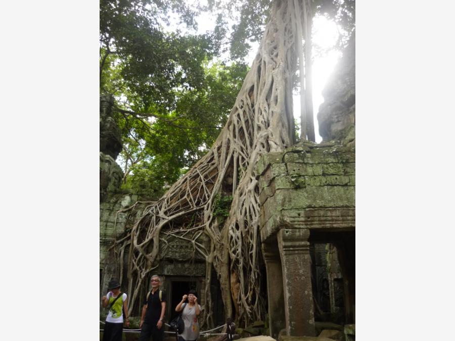 Камбоджа - Ангкор. Фото №16