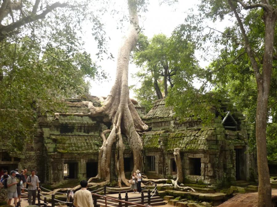 Камбоджа - Ангкор. Фото №19