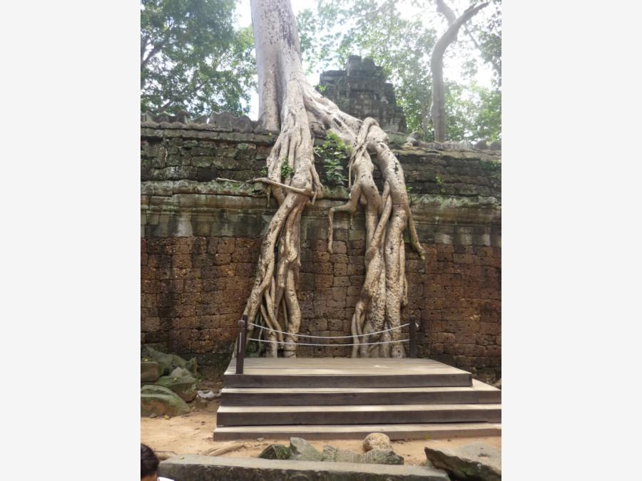 Ангкор - Фото №11