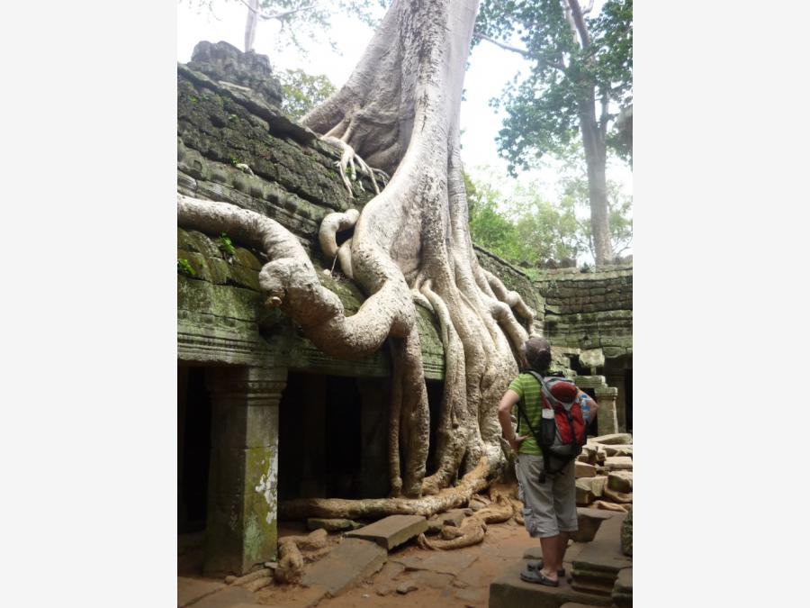Ангкор - Фото №12