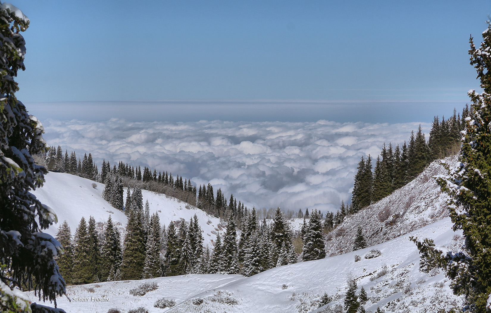 Казахстан алма ата фото